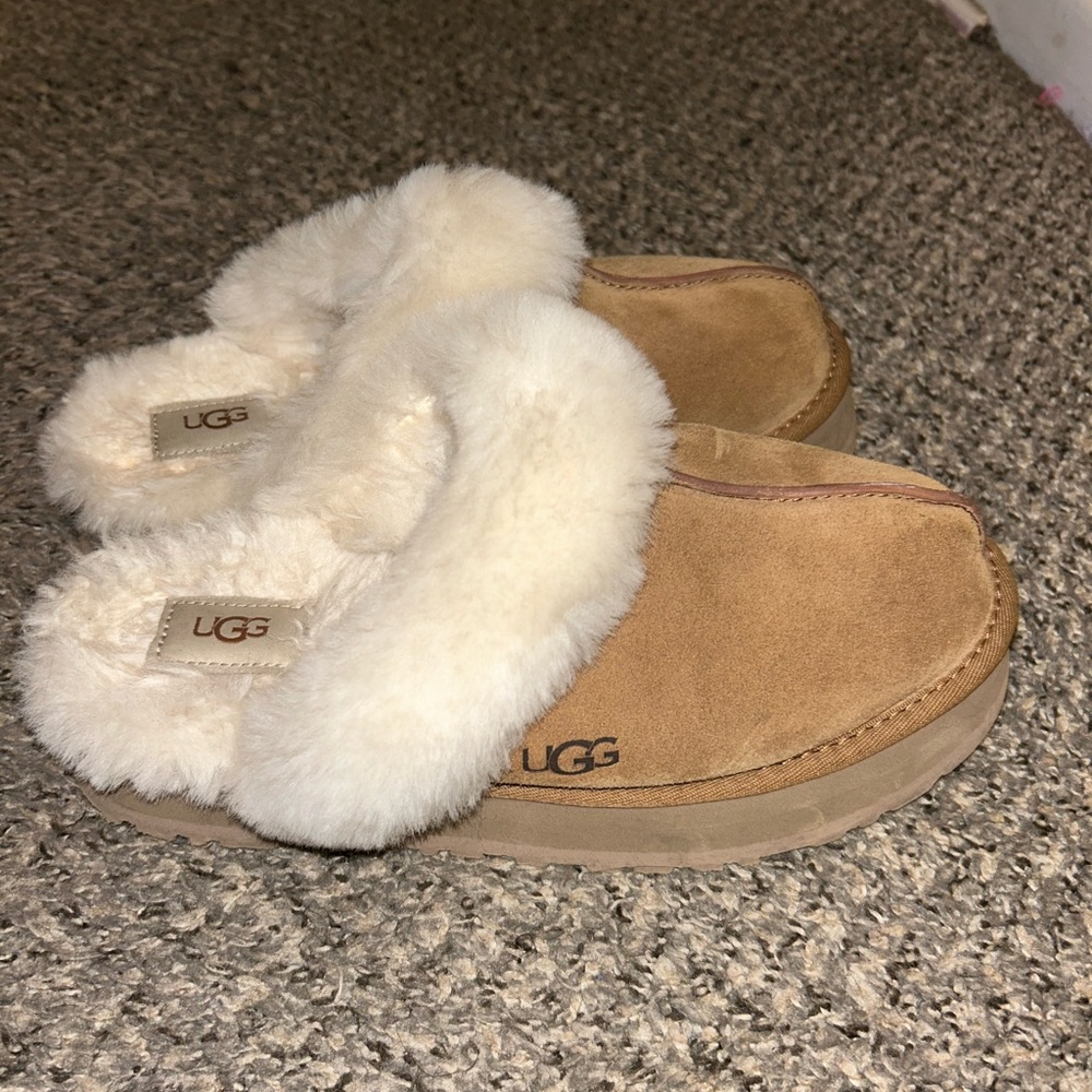 Platform Disquette Ugg Slippers/Shoes - Chestnut